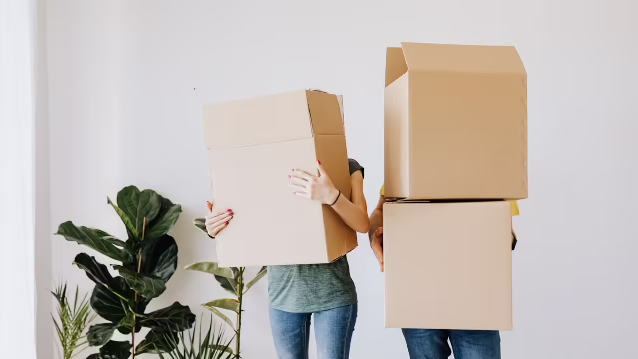 Two people carrying stacked cardboard moving boxes across an empty room beside a houseplant.
